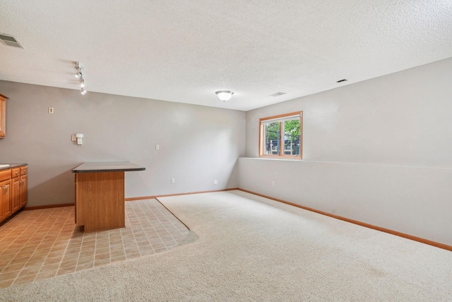 1504 Monarch St, Shakopee, MN 55379 - below grade area featuring light carpet, a textured ceiling, and track lighting