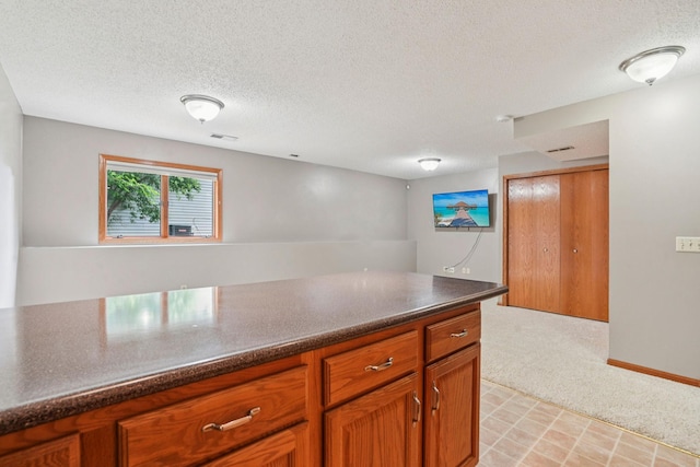 1504 Monarch St, Shakopee, MN 55379 - kitchen featuring a textured ceiling, dark countertops, brown cabinetry, light colored carpet, and light flooring