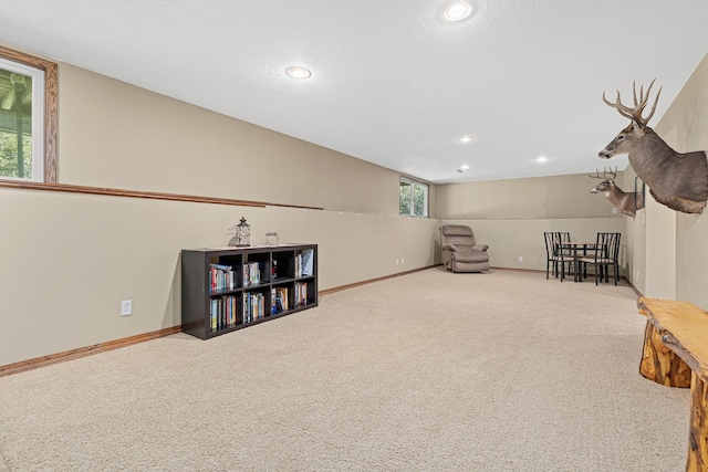 225 Quant Ave N, Lakeland, MN 55043 - photo 15