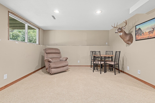 225 Quant Ave N, Lakeland, MN 55043 - photo 19