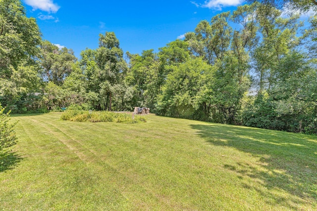 225 Quant Ave N, Lakeland, MN 55043 - photo 31