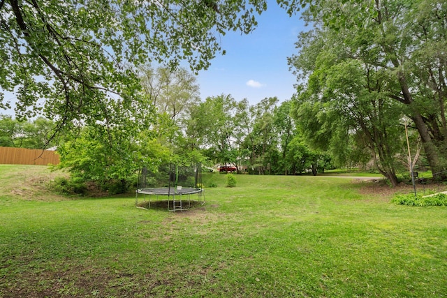 2065 124th Ln NW, Coon Rapids, MN 55448 - view of yard with a trampoline