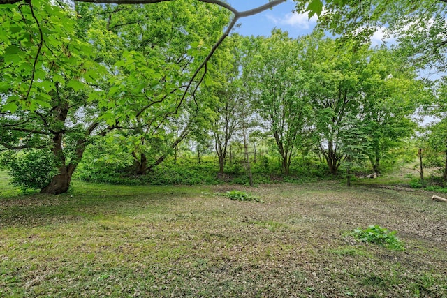 2065 124th Ln NW, Coon Rapids, MN 55448 - view of yard