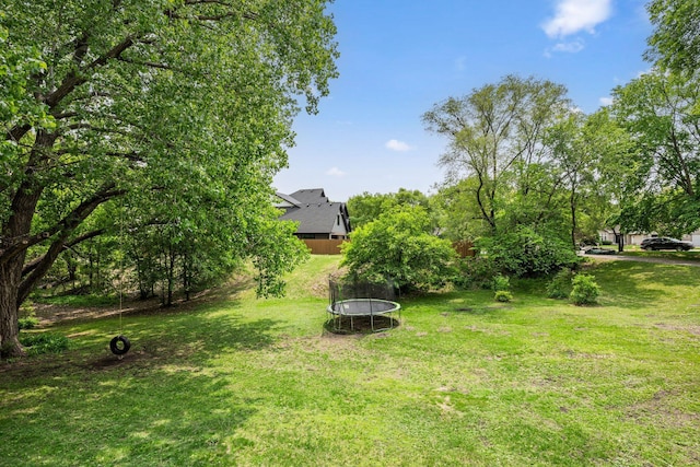 2065 124th Ln NW, Coon Rapids, MN 55448 - view of grassy yard with a trampoline