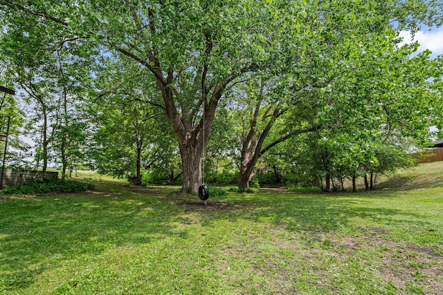 2065 124th Ln NW, Coon Rapids, MN 55448 - view of grassy yard