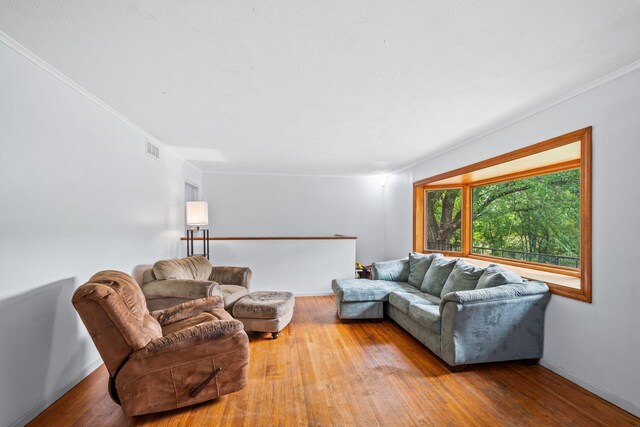 2065 124th Ln NW, Coon Rapids, MN 55448 - living area with wood finished floors, ornamental molding, and baseboards