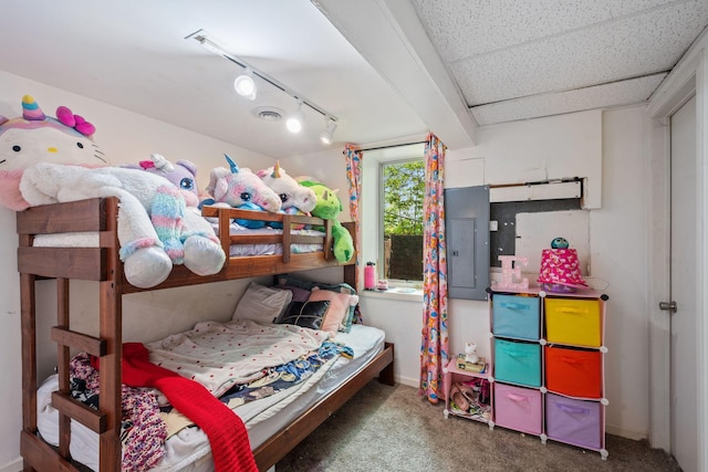 2065 124th Ln NW, Coon Rapids, MN 55448 - bedroom featuring electric panel, carpet, baseboards, and track lighting
