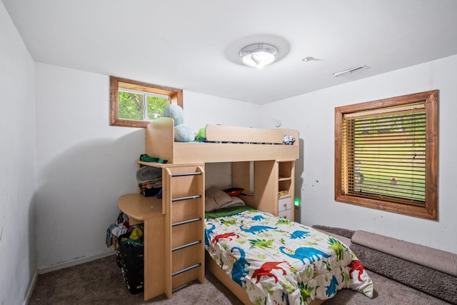 2065 124th Ln NW, Coon Rapids, MN 55448 - bedroom with carpet floors