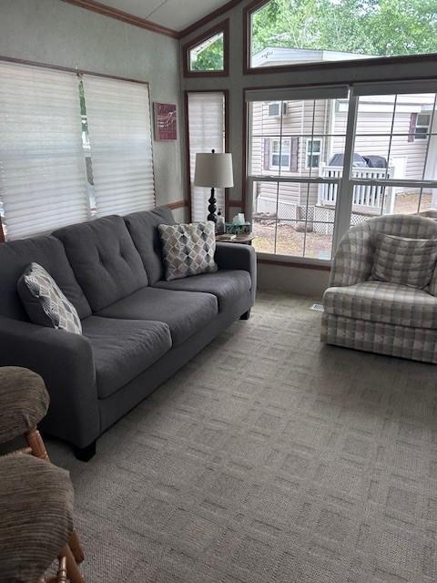 2221 Reubens Ln SW Unit 20, Farwell, MN 56327 - carpeted living room with vaulted ceiling and crown molding