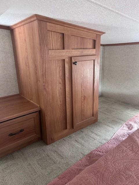 2221 Reubens Ln SW Unit 20, Farwell, MN 56327 - detailed view of carpet floors and a textured ceiling