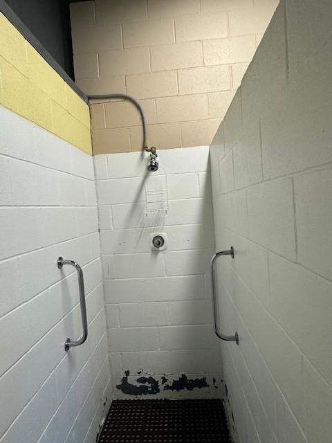 2221 Reubens Ln SW Unit 20, Farwell, MN 56327 - bathroom with a tile shower