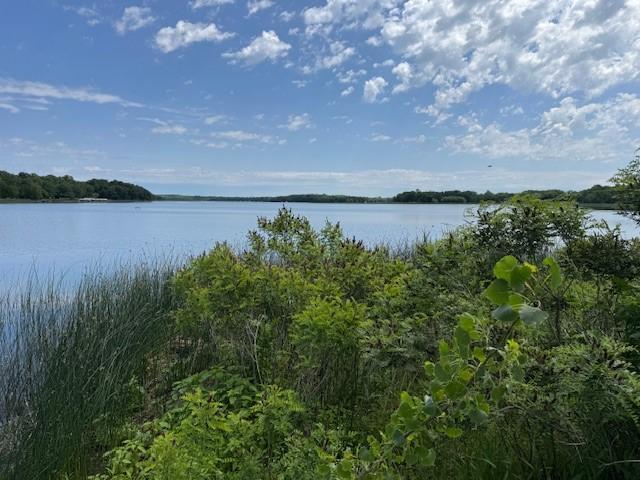 2221 Reubens Ln SW Unit 20, Farwell, MN 56327 - water view