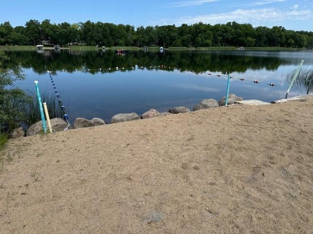 2221 Reubens Ln SW Unit 20, Farwell, MN 56327 - water view with a forest