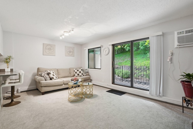 5697 Green Circle Dr Unit 216, Minnetonka, MN 55343 - living room with baseboard heating, carpet, a textured ceiling, an AC wall unit, and baseboards