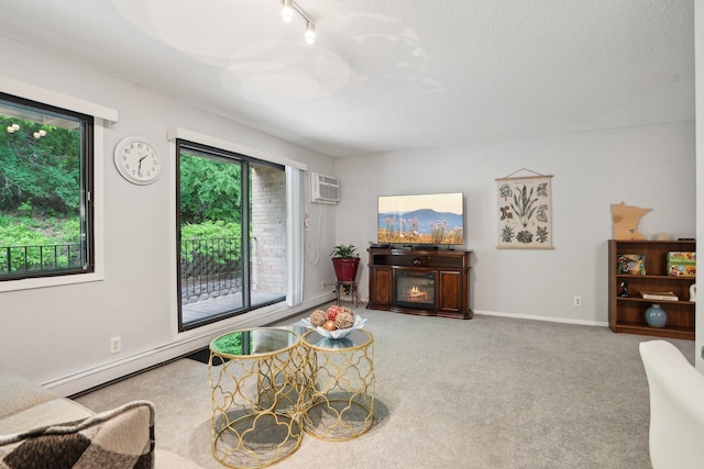 5697 Green Circle Dr Unit 216, Minnetonka, MN 55343 - carpeted living room featuring a wall mounted air conditioner, rail lighting, and baseboards