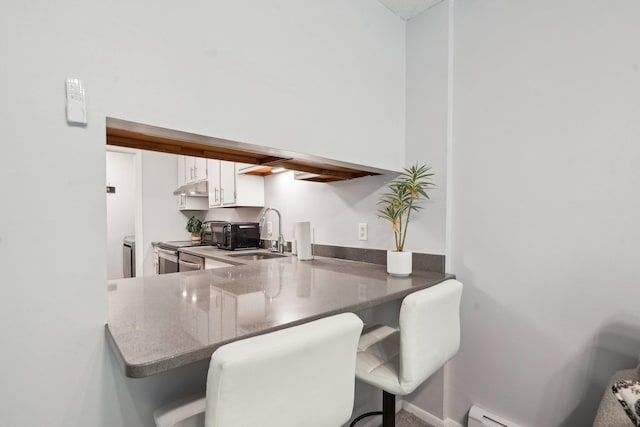 5697 Green Circle Dr Unit 216, Minnetonka, MN 55343 - kitchen featuring a sink, under cabinet range hood, white cabinets, and a breakfast bar