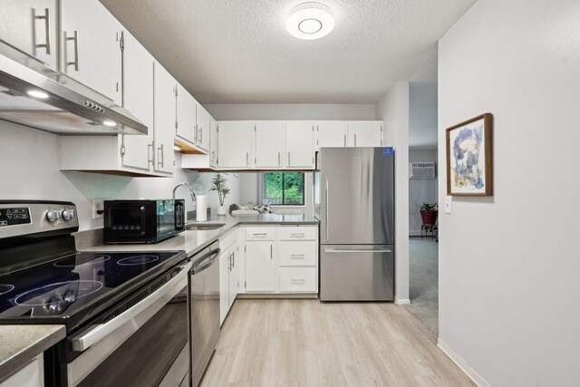5697 Green Circle Dr Unit 216, Minnetonka, MN 55343 - kitchen with stainless steel appliances, under cabinet range hood, light wood finished floors, a sink, and a wall mounted AC