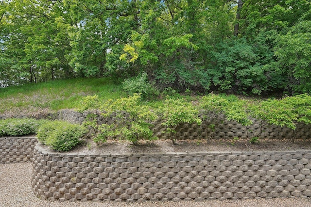 5697 Green Circle Dr Unit 216, Minnetonka, MN 55343 - view of yard