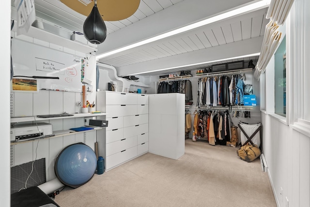 2867 Burnham Blvd, Minneapolis, MN 55416 - spacious closet with carpet flooring