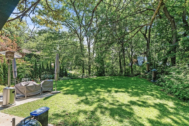 2867 Burnham Blvd, Minneapolis, MN 55416 - view of grassy yard