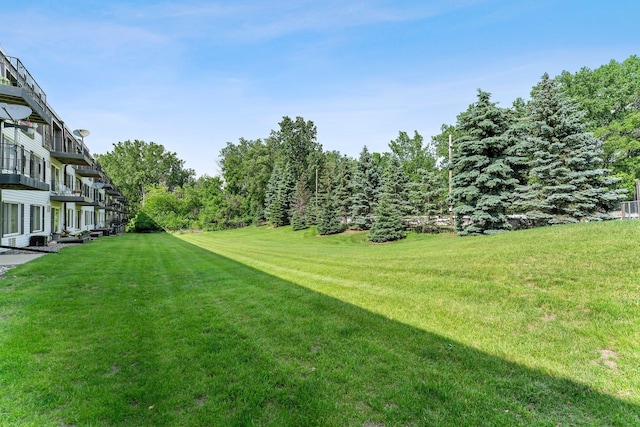 183 Little Canada Rd E Unit 310, Little Canada, MN 55117 - view of green lawn