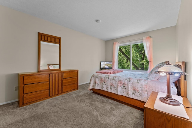 183 Little Canada Rd E Unit 310, Little Canada, MN 55117 - carpeted bedroom featuring baseboards