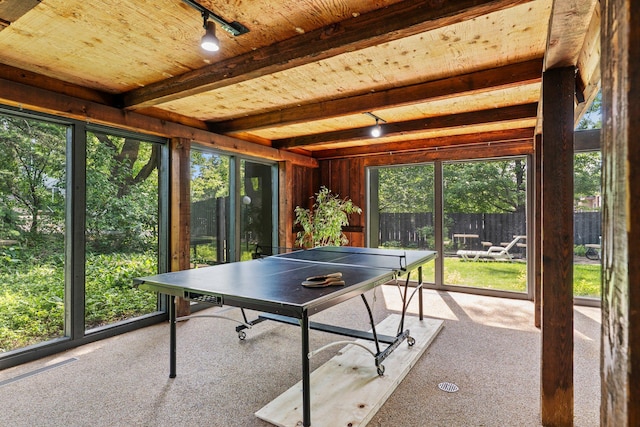 183 Little Canada Rd E Unit 310, Little Canada, MN 55117 - game room featuring carpet floors, rail lighting, and wooden ceiling with exposed beams