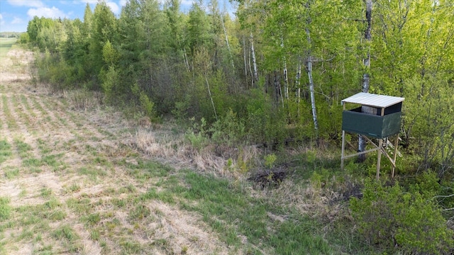 11556 Blackwood Rd, Floodwood Twp, MN 55736 - view of yard featuring a wooded view