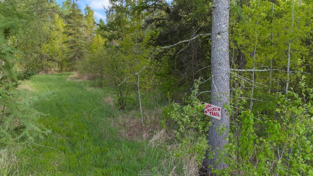 11556 Blackwood Rd, Floodwood Twp, MN 55736 - view of woods