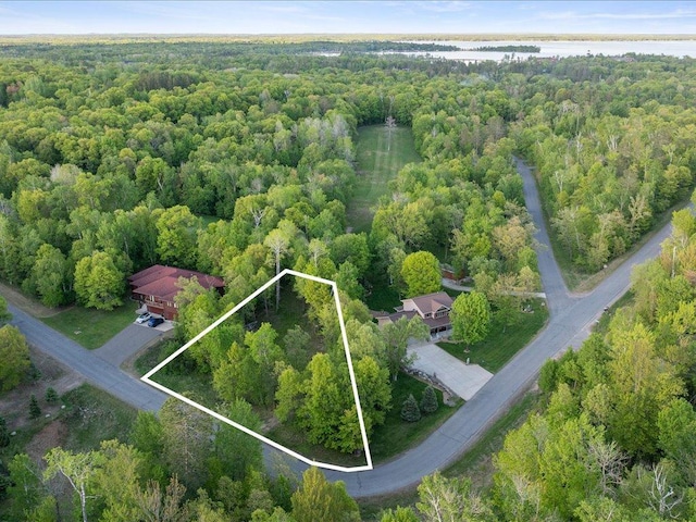 TBD Eagle Ln, Breezy Point, MN 56472