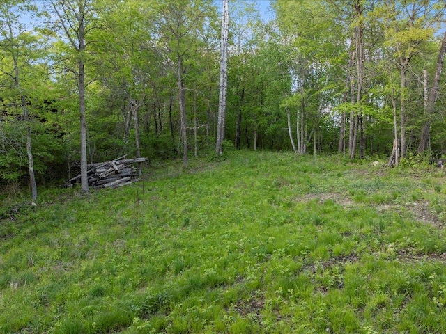 TBD Eagle Ln, Breezy Point, MN 56472