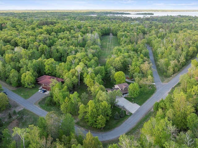 TBD Eagle Ln, Breezy Point, MN 56472