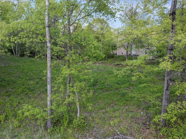 TBD Eagle Ln, Breezy Point, MN 56472