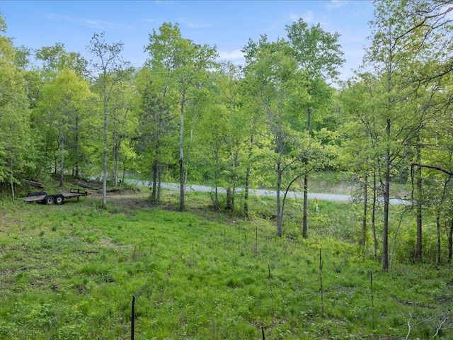 TBD Eagle Ln, Breezy Point, MN 56472