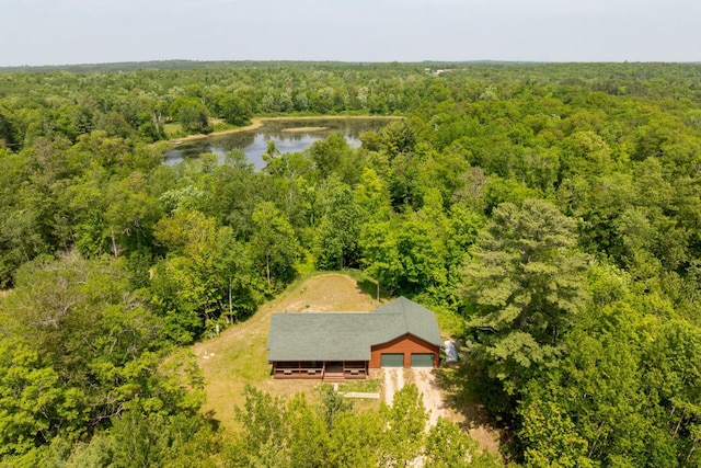 1268 Nellie Lake Ln NE, Longville, MN 56655 - view of subject property with a forest and a large body of water