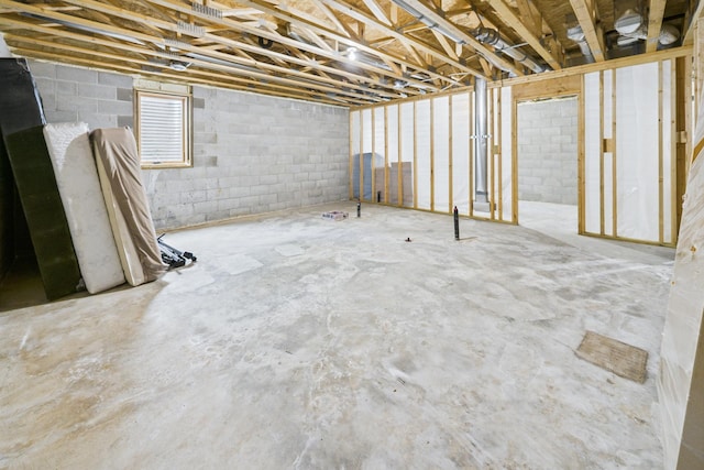 1268 Nellie Lake Ln NE, Longville, MN 56655 - below grade area featuring concrete block wall