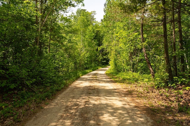 1268 Nellie Lake Ln NE, Longville, MN 56655 - view of dirt / gravel road with a view of trees