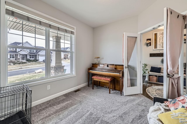 9602 7th St N, Lake Elmo, MN 55042 - sitting room with healthy amount of natural light, baseboards, and carpet flooring