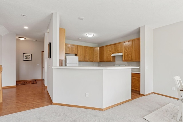 1848 111th Ave NE, Blaine, MN 55449 - kitchen featuring freestanding refrigerator, under cabinet range hood, light countertops, baseboards, and light carpet