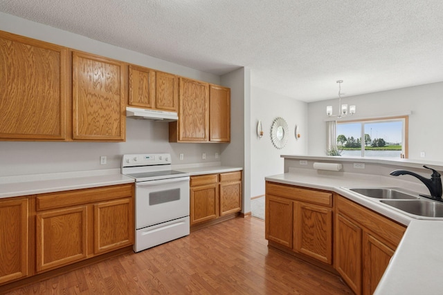 1848 111th Ave NE, Blaine, MN 55449 - kitchen with white electric stove, a sink, under cabinet range hood, light wood-type flooring, and light countertops