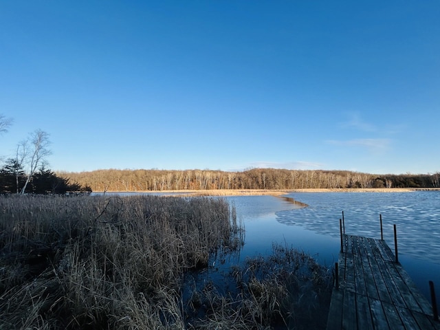 22134 Patch Lake Rd, Cold Spring, MN 56320 - photo 49