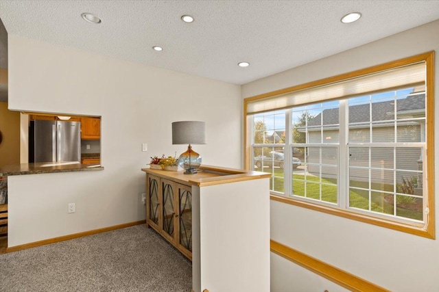 1107 Golden Way NW, Isanti, MN 55040 - office space featuring baseboards, carpet flooring, recessed lighting, and a textured ceiling