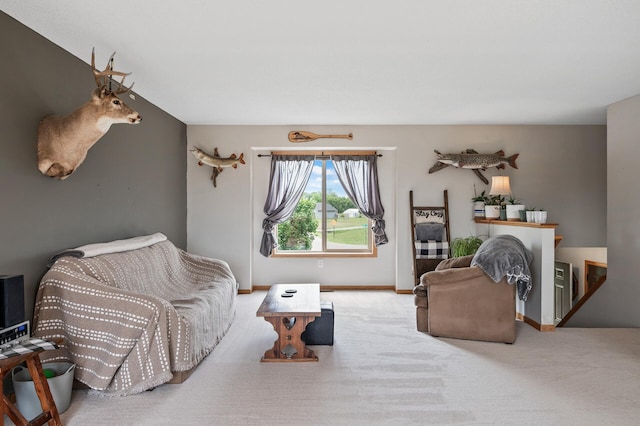 17098 110th St SE, Becker Twp, MN 55308 - photo 6