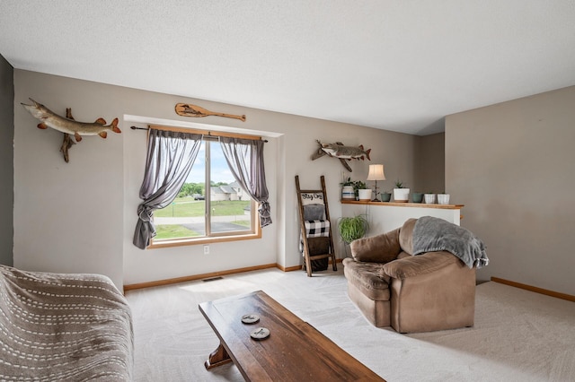17098 110th St SE, Becker Twp, MN 55308 - photo 7
