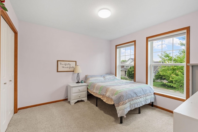 11230 68th St NE, Albertville, MN 55301 - bedroom with light carpet and a closet