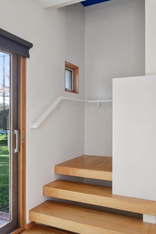 303 77th St, Chanhassen, MN 55317 - view of stairs