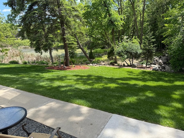 8942 Underwood Ln N, Maple Grove, MN 55369 - view of green lawn