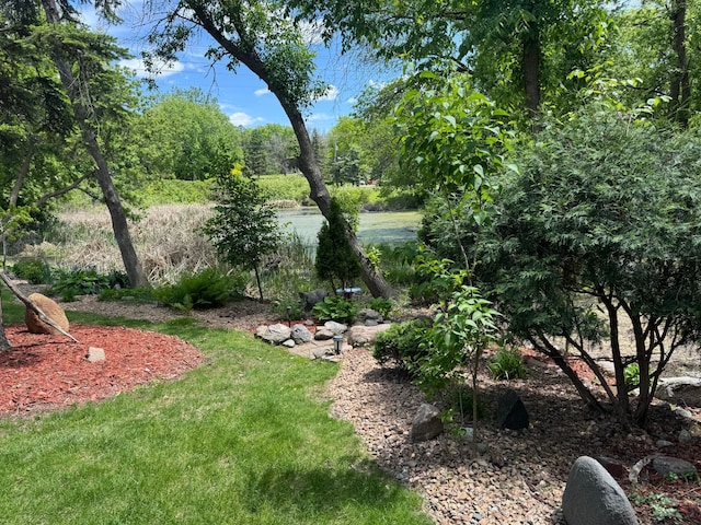 8942 Underwood Ln N, Maple Grove, MN 55369 - view of yard