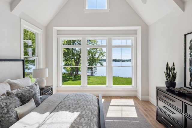 2475 Dunwoody Ave, Orono, MN 55391 - bedroom featuring lofted ceiling, a water view, multiple windows, light wood-style floors, and baseboards