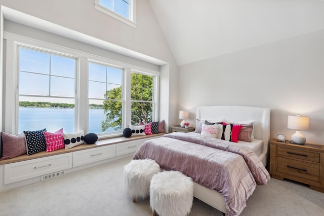 2475 Dunwoody Ave, Orono, MN 55391 - bedroom featuring high vaulted ceiling, multiple windows, light colored carpet, and a water view